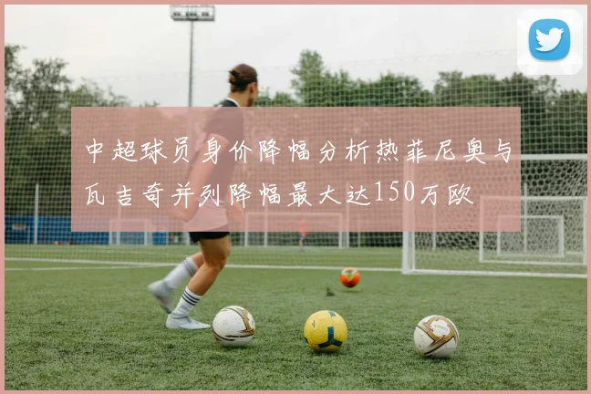 中超球员身价降幅分析热菲尼奥与瓦吉奇并列降幅最大达150万欧
