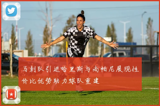 马刺队引进哈里斯与尚帕尼展现性价比优势助力球队重建